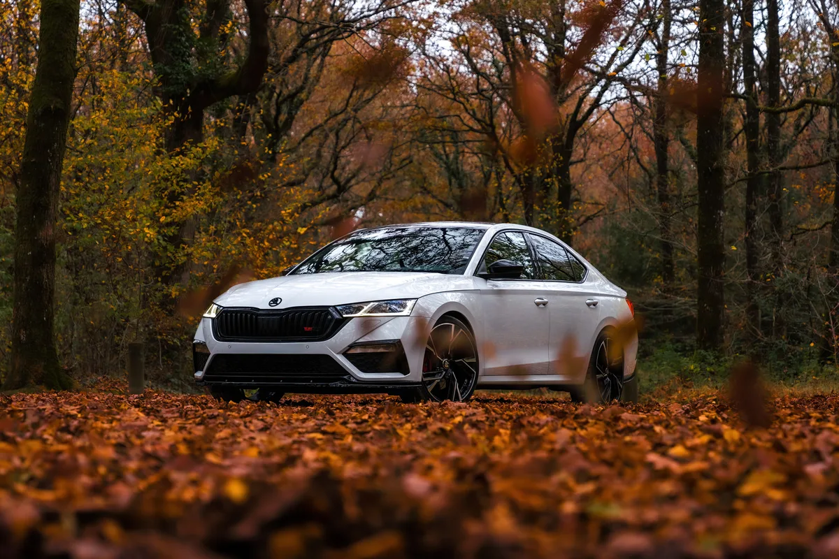 Skoda blanche garée dans un sous-bois aux couleurs de l’automne.