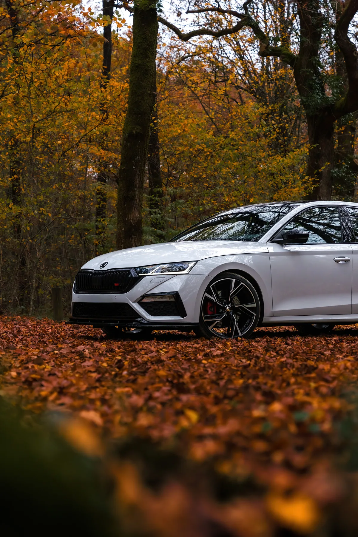 Vue latérale de la Skoda blanche dans un sous-bois automnal.